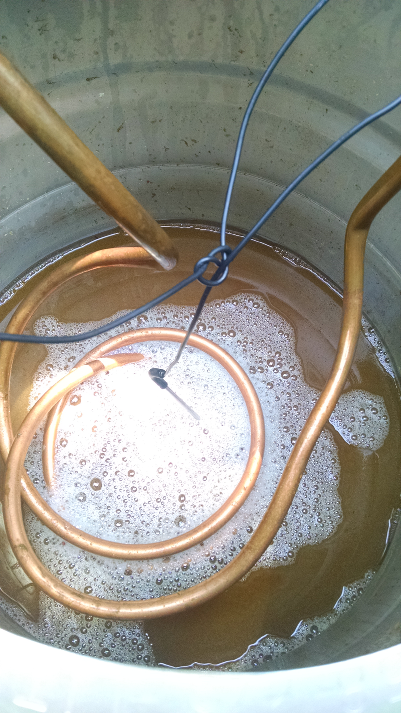 Illustration for article titled Double Pink Pepperberry brew day